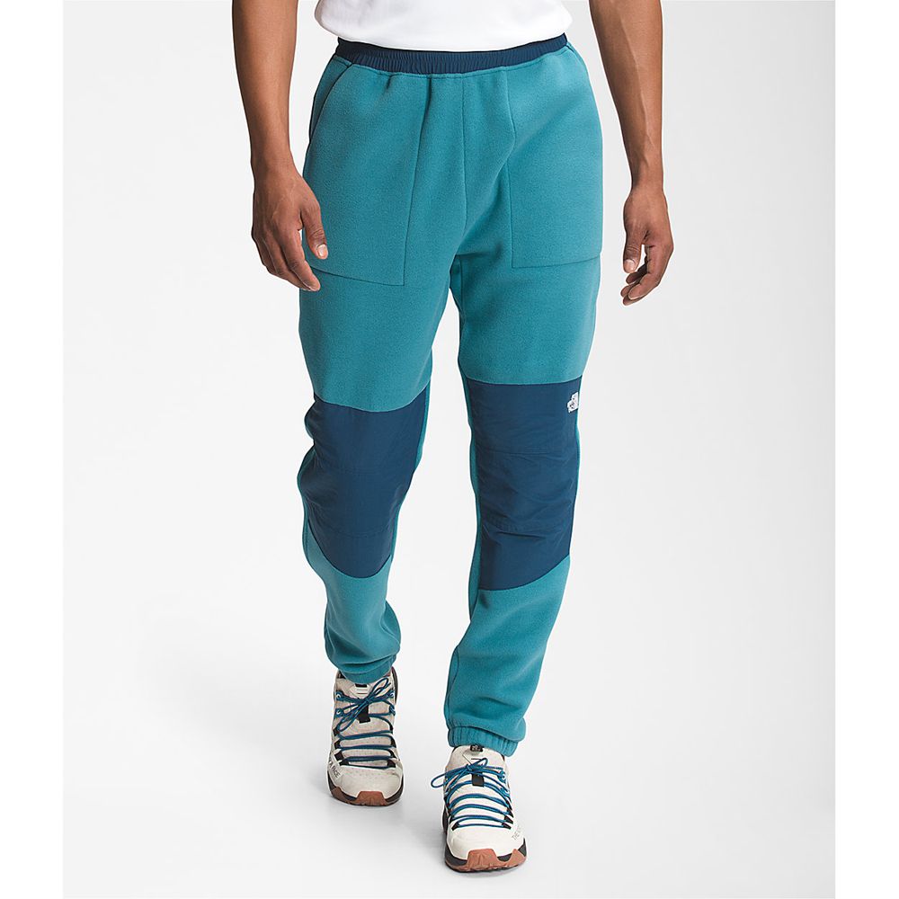 The North Face Pants Mens Australia - The North Face Denali 2 Blue (MAU-356872)